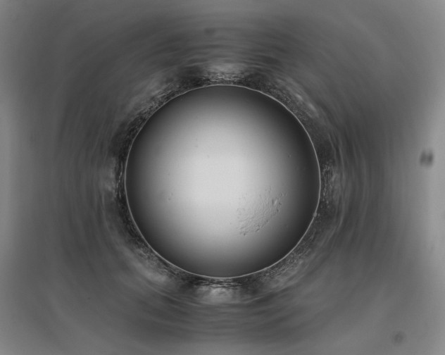 X0000095910655200801111233