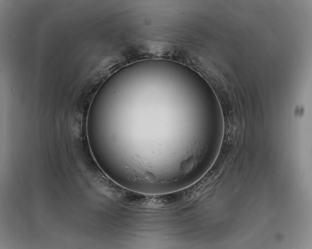 X0000095910656200801111233