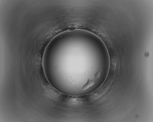 X0000095910657200801111233