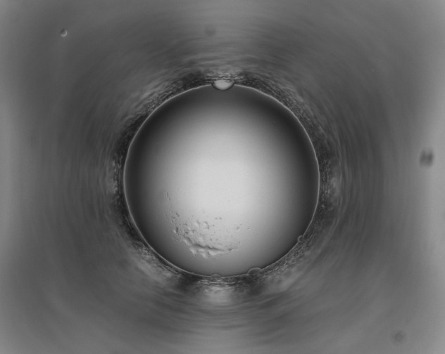 X0000095910658200801111233