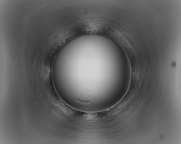 X0000095910660200801111233