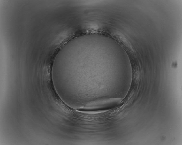 X0000095910661200801111233