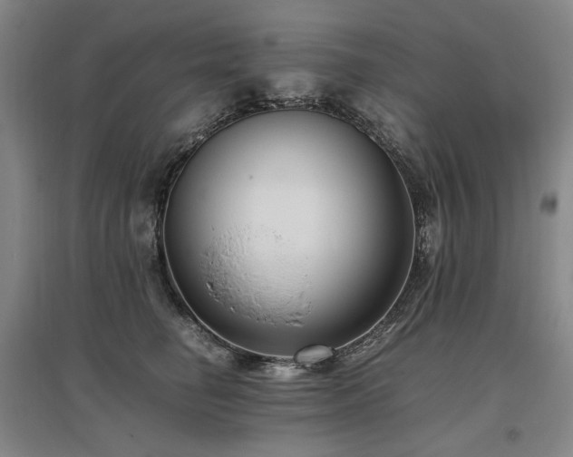 X0000095910662200801111233