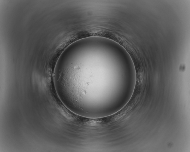 X0000095910664200801111233