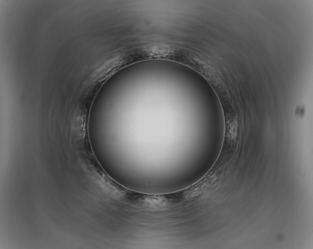 X0000095910666200801111233