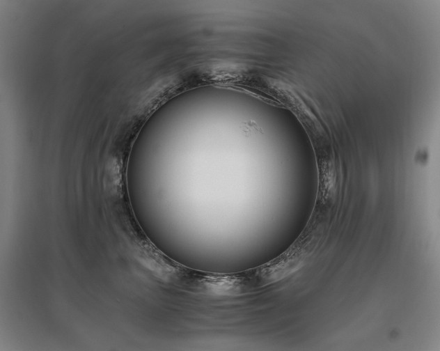 X0000095910667200801111233