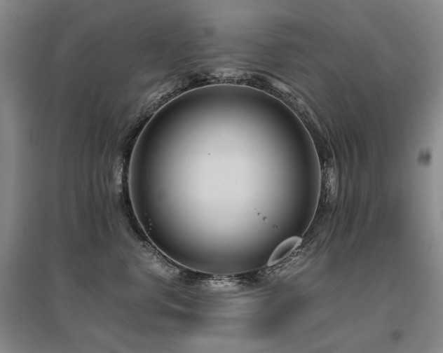 X0000095910668200801111233