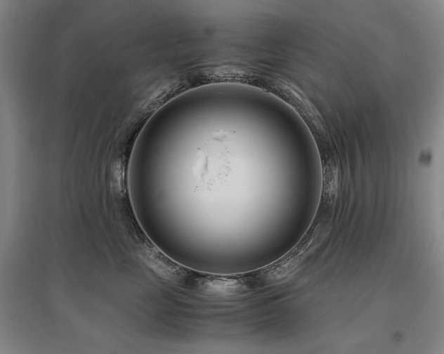 X0000095910669200801111233