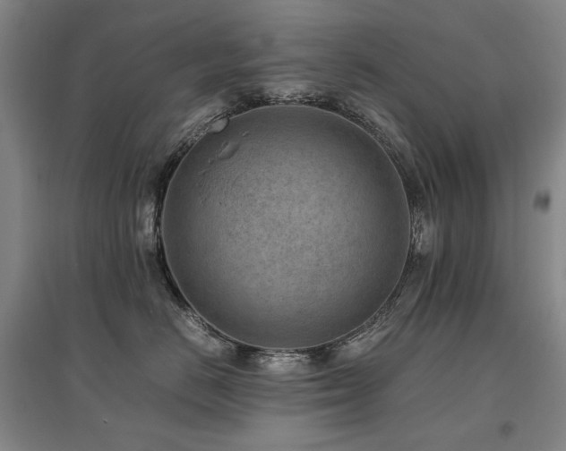 X0000095910670200801111233