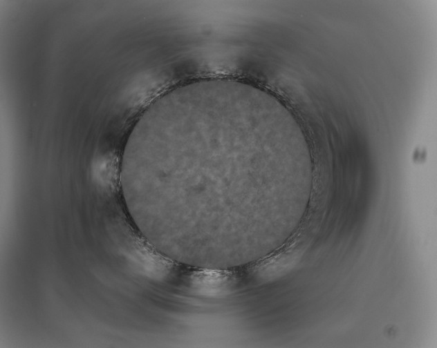 X0000095910672200801111233