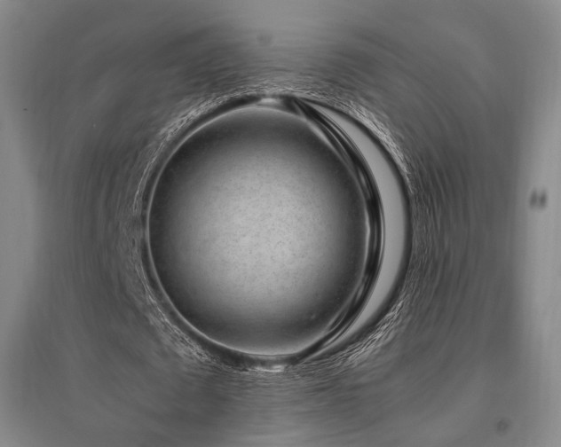 X0000095910673200801111232