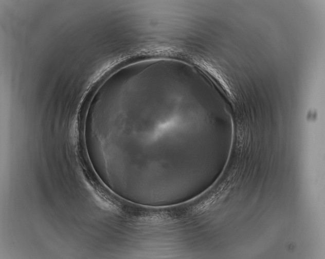 X0000095910674200801111232