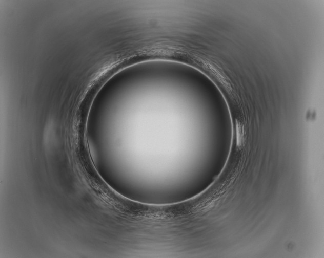 X0000095910675200801111232