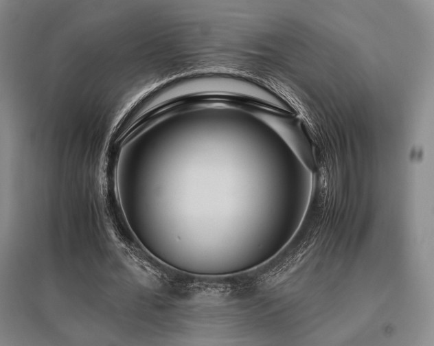 X0000095910676200801111232
