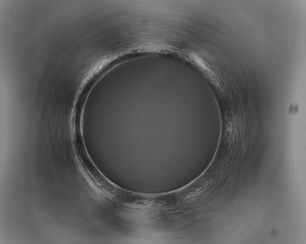 X0000095910678200801111232