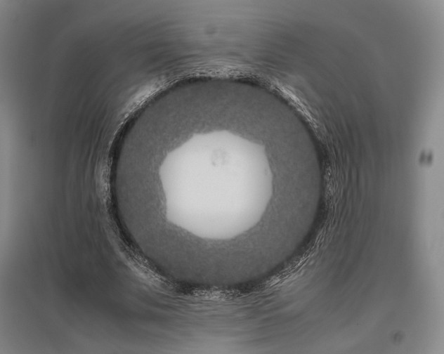 X0000095910679200801111232