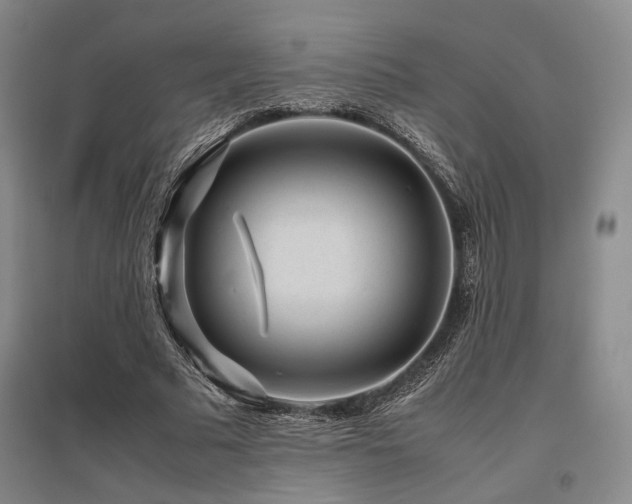 X0000095910681200801111232