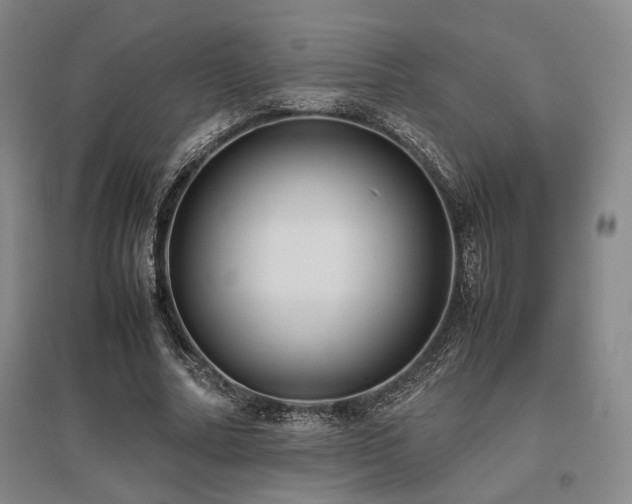 X0000095910682200801111232