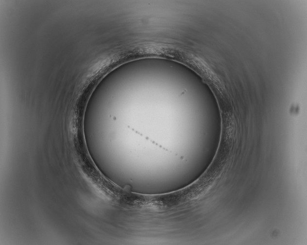 X0000095910683200801111232