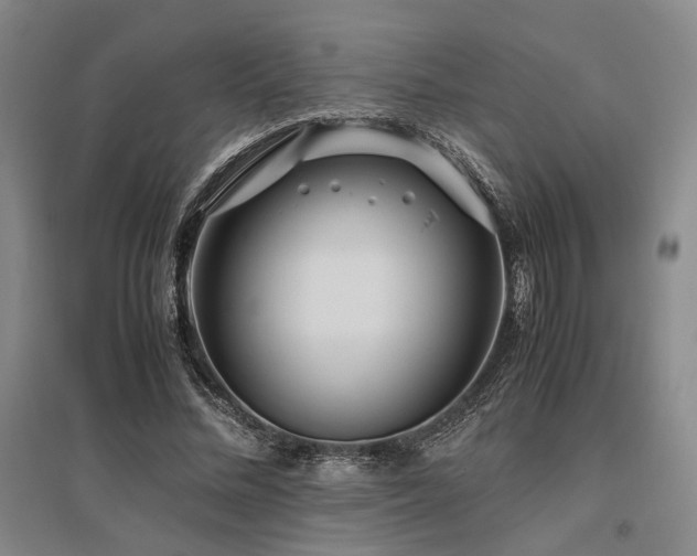 X0000095910684200801111232