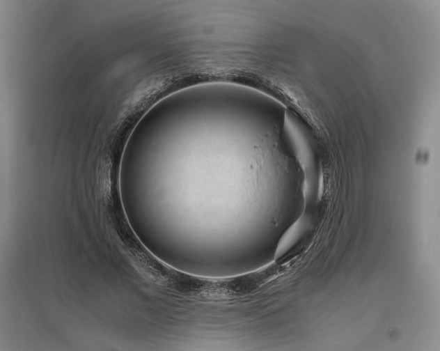 X0000095910685200801111232