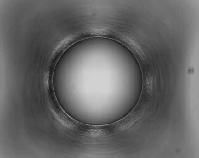 X0000095910686200801111232