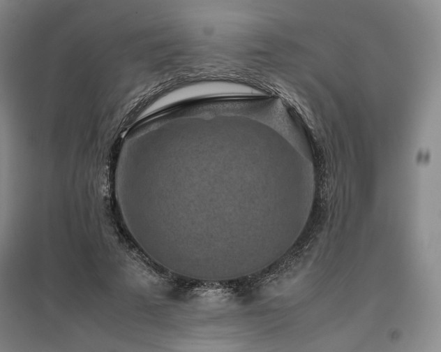X0000095910689200801111232
