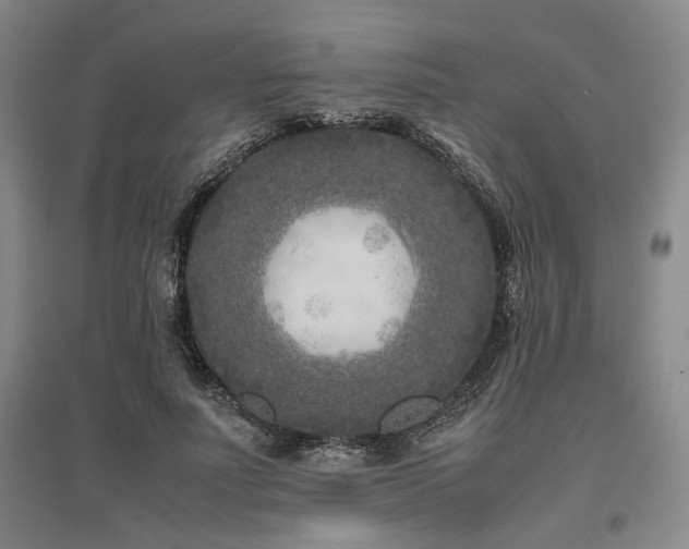 X0000095910691200801111232