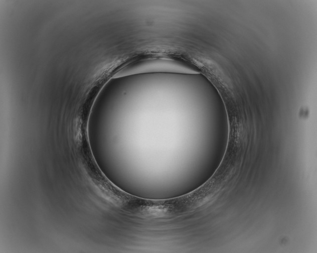 X0000095910692200801111232