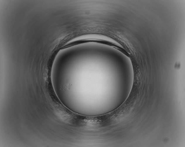 X0000095910693200801111232