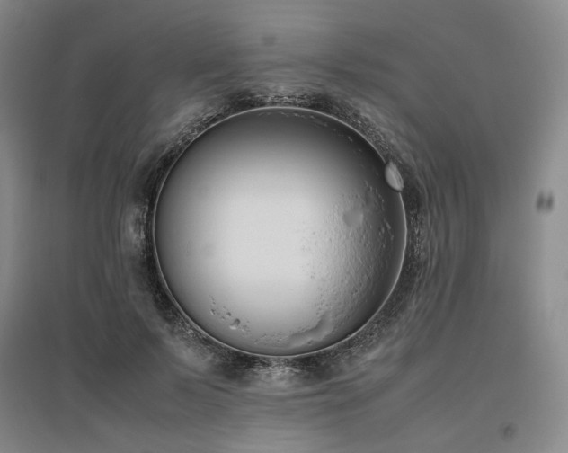 X0000095910695200801111232