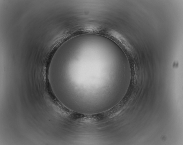 X0000095910696200801111232