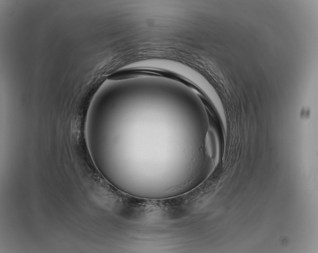 X0000095910697200801111232