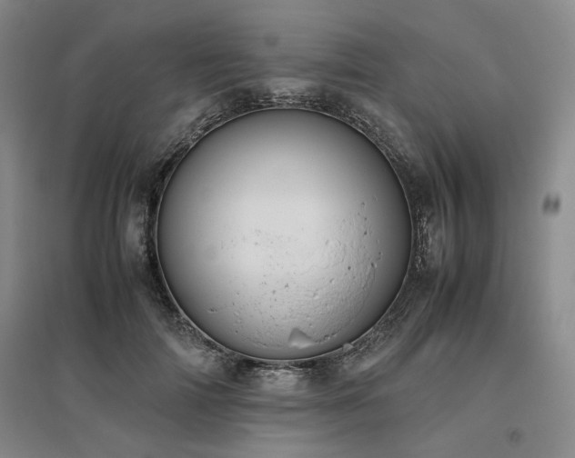 X0000095910698200801111232
