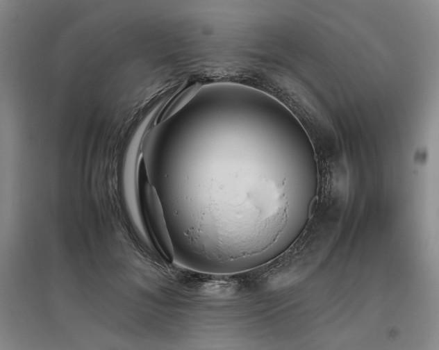 X0000095910700200801111232