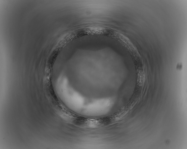 X0000095910701200801111232