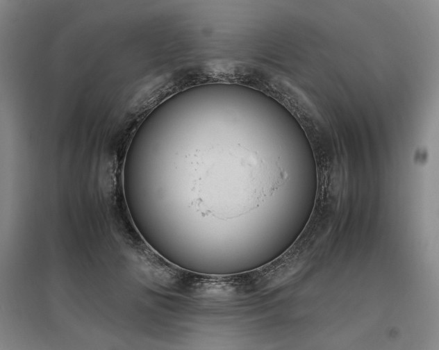 X0000095910702200801111232