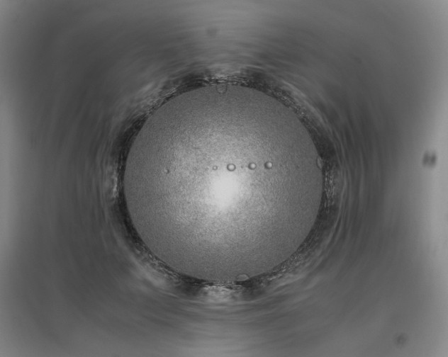 X0000095910703200801111232