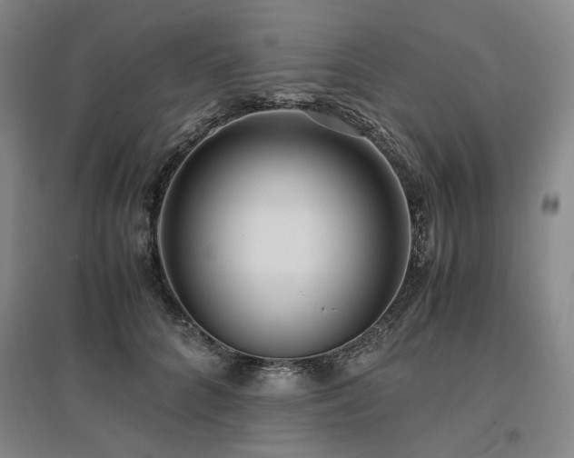 X0000095910704200801111232