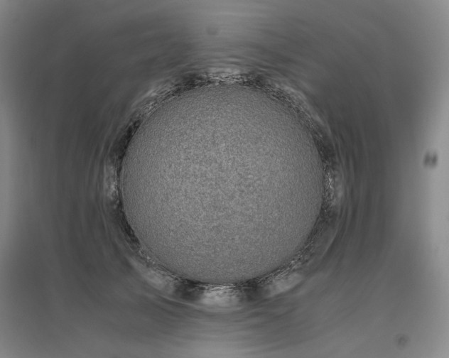 X0000095910705200801111232