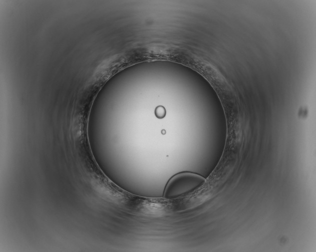 X0000095910706200801111232