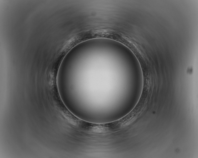 X0000095910708200801111232