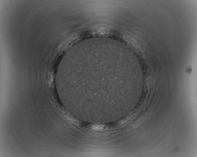 X0000095910709200801111232