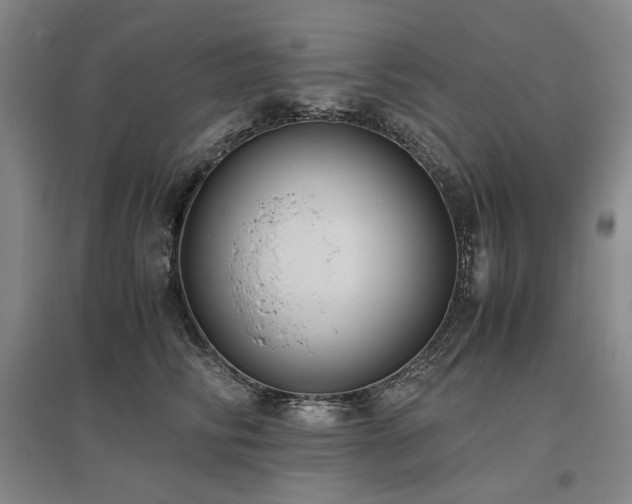 X0000095910710200801111232