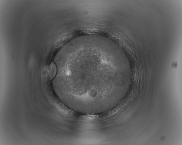 X0000095910711200801111232