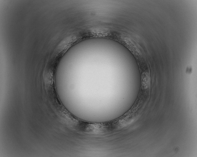 X0000095910713200801111232