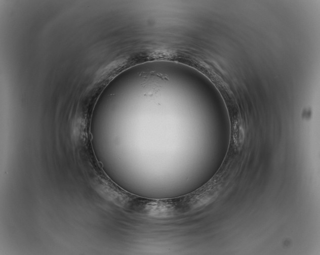 X0000095910714200801111232