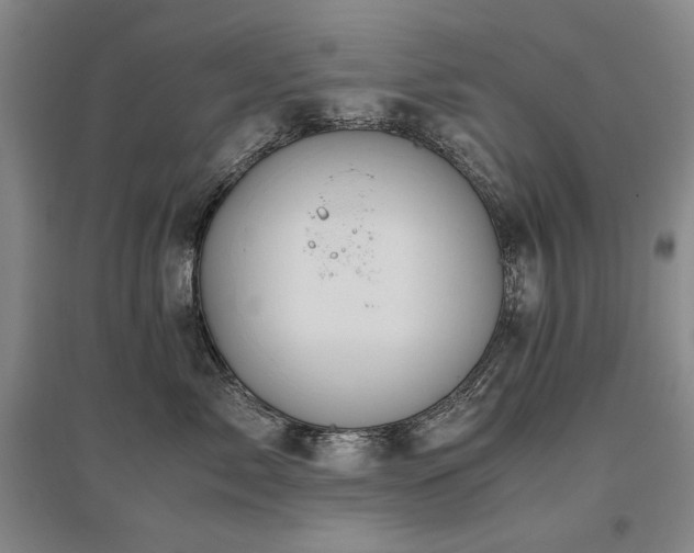 X0000095910717200801111232