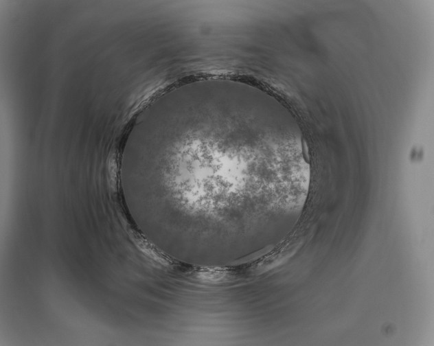 X0000095910720200801111232