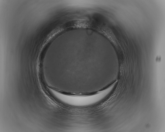 X0000095910722200801111231